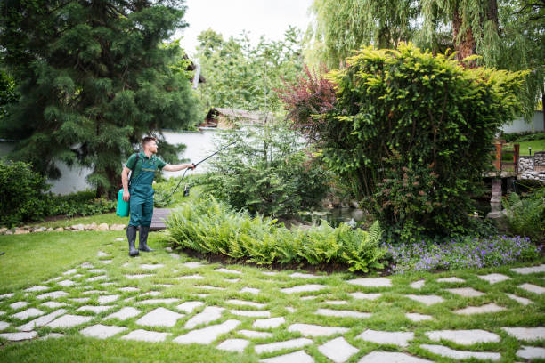How Our Tree Care Process Works  in  Wallington, NJ
