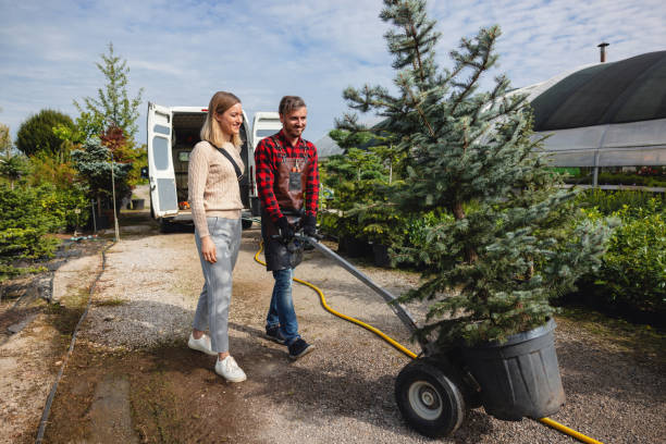 Best Tree Maintenance Programs  in Wallington, NJ